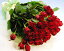 バラの花束 お買い得赤バラ50本の花束 お誕生日 プレゼント ギフト 結婚祝い 記念日 退職祝い いい夫婦の日 送料無料 バレンタイン
ITEMPRICE