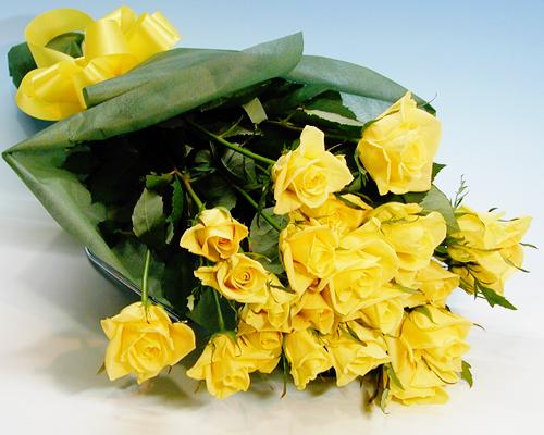 【送料無料】お買い得黄バラ20本の花束【10P2Aug12】【SBZcou1208】【10P1Aug12】