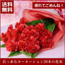 【遅れてごめんね!母の日ギフト 2017 母の日】赤カーネーションの花束20本♪【送料無料】【楽ギフ_メッセ】