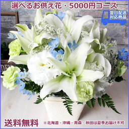 【あす楽16時まで受付】【お供え 花】5千円コース 任せて安心豪華でボリューム お盆 初盆 お彼岸 彼岸 彼岸花 喪中お見舞い 即日 送料無料 アレンジ 花束 お供え花 即日発送