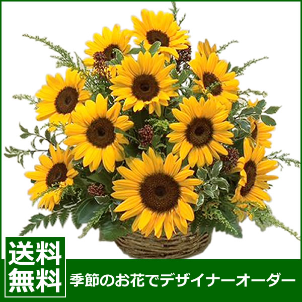 【父の日 ギフト プレゼント】【誕生日プレゼント 女性】【あす楽対応】季節のお花デザイナー…...:anne:10000079