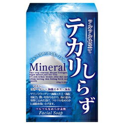 【ペリカン石鹸】ペリカン石鹸　テカリしらず洗顔石鹸　100g ◆お取り寄せ商品【P】