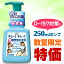 なんと！あの【ライオン】キレイキレイ 薬用「泡で出る消毒液」250mlポンプが数量限定の大特価！