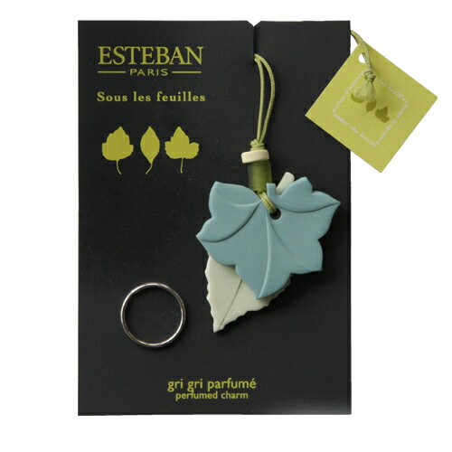 ڥӥ塼񤯤5OFF۹ߤޤߥåݥץꡣۥˤʤΤǤܹƲƥХ֥ꥰץ꡼ΡȢХåݡˢΤ