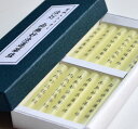 【ろうそく】蜜蝋入りろうそく 法灯「南無妙法蓮華経」大ダルマ12本入り油煙がでにくいローソク【2個までネコポスOK!】【お彼岸】【お盆】【進物】【蜜蝋】【御供】【供養】【灯明】【ローソク】【蝋燭】【進物ろうそく】