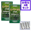 プレゼント付き!松樹源 エンゾジノール110 60粒 松ポリフェノール 2個セット enzogenol