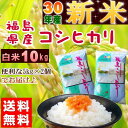 コシヒカリ 10kg(5kg×2袋) 新米 福島県産 お米 ...