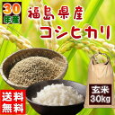 30kg コシヒカリ 玄米 お米 30年産 福島県産 送料無...