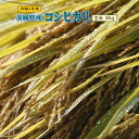 30kg コシヒカリ 玄米 お米 元年産 茨城県産 送料無料...
