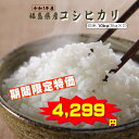 コシヒカリ 10kg(5kg×2袋) 福島県産 お米 元年産...