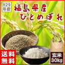 ひとめぼれ 30kg 新米 福島県産 お米 玄米