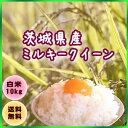 『茨城県産ミルキークイーン白米10K』一度食べたら。。忘れられない味当店大人気♪もっちもち〜がたまらないと評判です♪