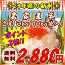 【米 28年】【新米】『農家直米白米10K』【RCP】【米 10kg 送料無料】【532P19Mar16】 ランキングお取り寄せ