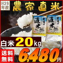 米 20kg お米 白米 安い 29年産 訳あり ブレンド米...