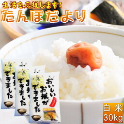 <strong>30kg</strong> お<strong>米</strong> 白<strong>米</strong> 安い (10kg×3袋) 訳あり ブレンド<strong>米</strong> 送料無料 『国内産たんぼだより(白<strong>米</strong>10kg×3)』