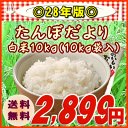 『たんぼだより白米10K』【RCP】【米 10kg 送料無料】【532P19Mar16】
