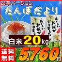 米 20kg 送料無料 (国内産ブレンド米) お米 20キロ 訳あり『たんぼだより(白米10kg×2)』【RCP】