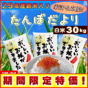 米 30kg 送料無料 (国内産ブレンド米) お米 30キロ 訳あり『◆たんぼだより(白米10kg×3)』29年産新米入り【RCP】