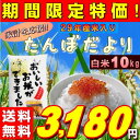 米 10kg お米 白米 安い 訳あり ブレンド米 国内産 送料無料 『たんぼだより白米10kg』29年産米入り 【RCP】