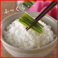 ̵!ʡ縩ҤȤܤ10k20ǯٻʡ縩̤껺ҤȤܤ...