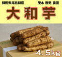 群馬県尾島特産 大和芋 お買い得品(B棒) 4.5kg やまといも とろろ芋