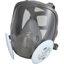 3M 取替式防じんマスク 6000F/2071-RL2 Lサイズ 6000F2071RL2L 1個