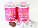 【数量限定】あんず咲く〜 限定品 杏(アプリコット)チョコレ...