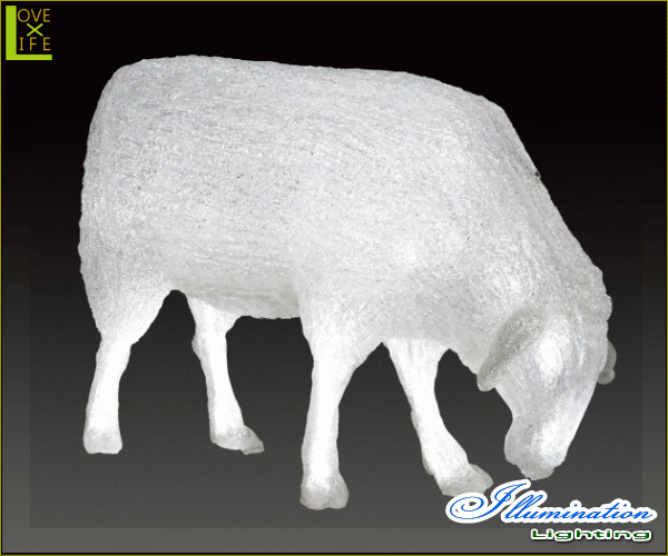 yLEDzyC~l[Vzy^izLEDNX^ qcWyBzyЂzyrzyAzýzyL[gzyuzyAj}zyzydzy`[tzyNX}XzyNX^zy킢zN킢C~l[Vŏt