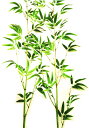【あす楽対象】七夕 大きい笹 人工植物【2メートルのビッグサ...