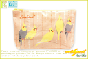 【pi】【鳥シリーズ】ポーチ【オカメインコ】【オレンジ】【ト...