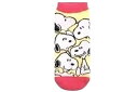 【スヌーピー】【SNOOPY】スモプラレディースソックス【スヌーピーいっぱい】【YE×PK】【ピーナッツ】【ウッドストック】【すぬーぴー】【アニメ】【ソックス】【レディース】【くつした】【靴下】【かわいい】