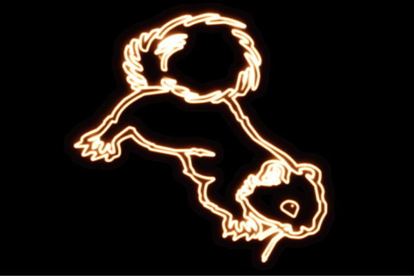 ネオン　りすリス　アニマル　動物　ネオンライト　電飾　LED　ライト　サイン　neon　看板　イルミネーション　インテリア　店舗　ネオンサイン　アメリカン雑貨　おしゃれ
