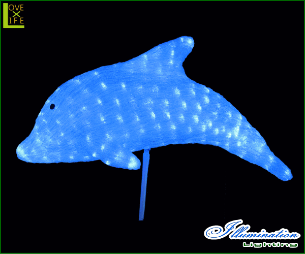 y20 zLED CJyzy3DzýzyAj}zyCzyLEDzCJ̐VI̓|[ŗĂ^CvIђ˂\yzyNX}XzyC~l[Vzydzy`[tz