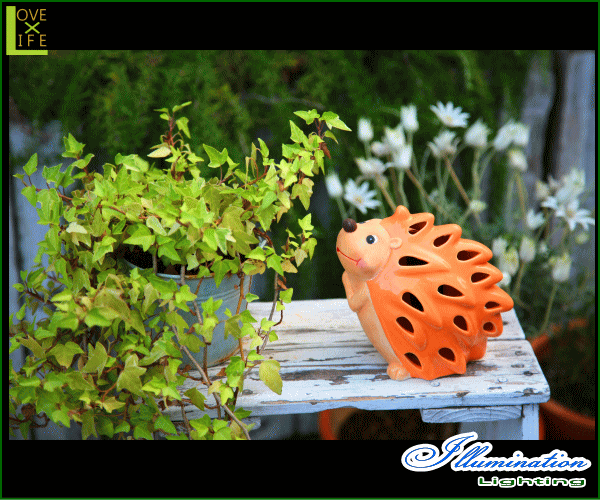 【20 】LED ソーラーライト ハリネズミ【太陽光】【エコ】【ハリネズミ】【動物】【ネズミ】【ソーラー】ガーデニングに最適!かわいいハリネズミがお庭を可愛くします♪【2,980円以上送料無料】【クリスマス】【イルミネーション】【電飾】【モチーフ】