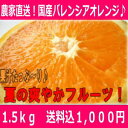【1000円ポッキリ！】ご家庭用　サイズ混合バレンシアオレンジ1.5キロ【わけあり】【訳あり】【お買い得】【おためし】【マラソン201207_食品】高級国産オレンジをお試し♪農家直送で安心安全！