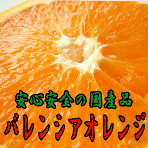 【送料込】ご家庭用　バレンシアオレンジ5キロ【マラソン201207_食品】【わけあり】【訳あり】【送料無料】【お買い得】【ギフト】【お中元】【smtb-k】 【w4】安心・安全の国産品！値下げしました♪