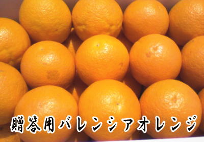 【送料込】贈答用　バレンシアオレンジ5キロ【お中元】【プレゼント】【送料無料】【お買い得】【ギフト】安心・安全の国産品！とても珍しい高級品です☆お中元にもどうぞ！