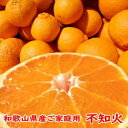 【送料込み】訳あり サイズ色々ご家庭用 不知火(しらぬい)(...