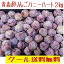 青森県産 プラムすもも「ハニーハート」2kg クール送料無料!