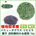 コート種子 バミューダグラス リビエラ 1kg 送料無料