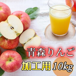 冷蔵便 グルメ大賞 ＼光センサー選果／ 青森 <strong>りんご</strong> <strong>10kg</strong> 加工用 <strong>送料無料</strong> ジュース 用 ジャム 用 サンフジ ふじ 10キロ 王林 名月 ぐんま名月 紅玉 津軽 つがる 黄王 ジョナ トキ リンゴジュース <strong>りんご</strong>ジュース 用 訳あり 青森県産 5kg 5キロ 家庭用 加工用 自宅 <strong>10kg</strong>