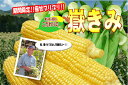朝採りとうもろこし【嶽きみ(だけきみ)】3本※冷蔵(品種:恵...