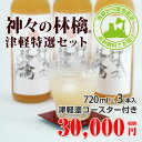【送料無料】【代金引換不可】「神々の林檎」青森県産 最高級りんごジュース 津軽特選セット!【720ml×3本入り】 【合同会社 まっかなほんと】【楽ギフ_包装】【1612RFD】