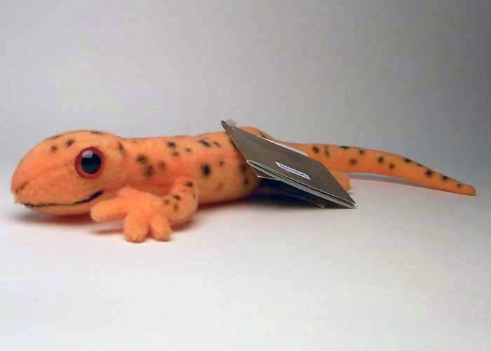 y\iznT AJu`TVEEIHANSA Red Spotted SalamanderTVEEÎʂ݁yZ[zyyMt_zyyMt_bŹzyRCPzybZ[WJ[hz