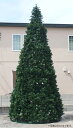 クリスマスツリー 業務用/スリムコーンツリ− 4m/大型ツリ...