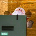 イルミ LED ライト 屋外 クリスマス サンタ