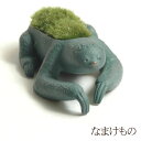 盆栽 苔 コケ ギフト プレゼント 品品 / モダン盆栽 なまけもの /A