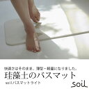 soilバスマット ソイル バスマットライト BATH MAT light (ソイル 珪藻土のバスマット ライト 57cm) イスルギ 日本製 【HLS_DU】