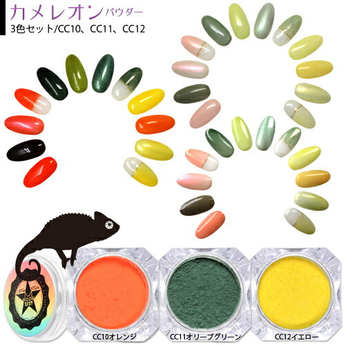 【2S2T】カメレオンパウダー3色セット［CC10、CC11、CC12］魔法パウダー/マジックパウダー/カラーチェンジ/温度で変わる/カメレオンネイル/グラデーション/ジェルネイル/体温色変化