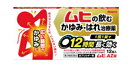【第2類医薬品】《池田模範堂》 ムヒAZ錠 12錠